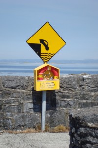 Irland 2009                                      